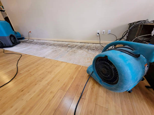 Reliable Crawl Space Water Removal contractor in Cordova, NC by Hirex Water Damage