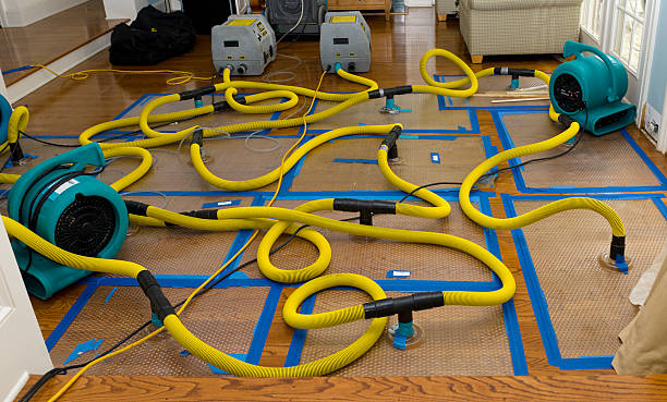 Professional Crawl Space Water Removal technician working in Cordova, NC